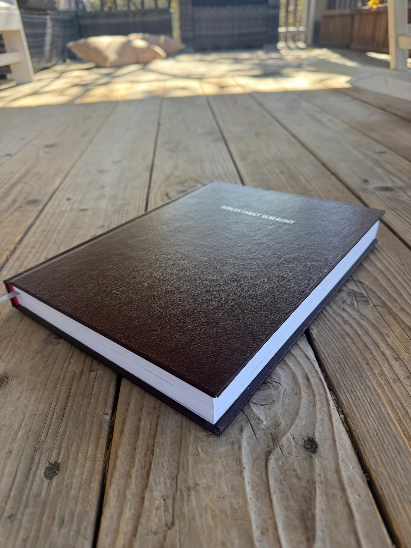 The actual closed Dobesh family book, photographed outdoors in October 2026